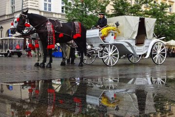 poland taxi